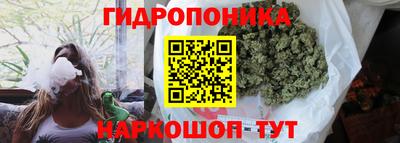 соль ск Партизанск