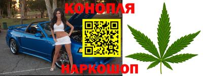 соль ск Партизанск
