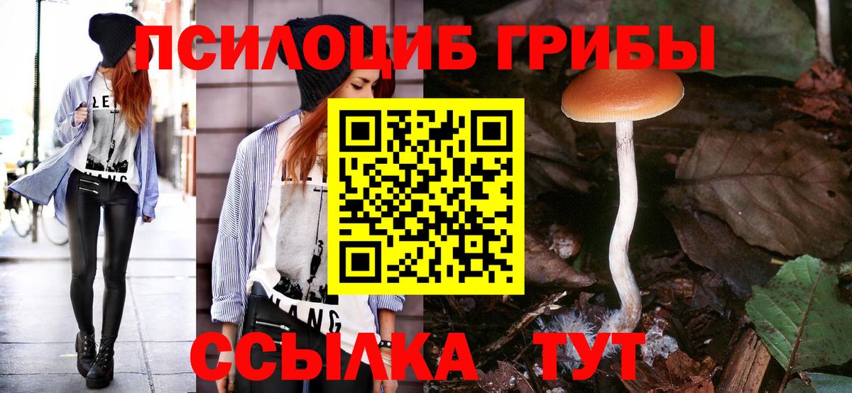Псилоцибиновые грибы мицелий Партизанск