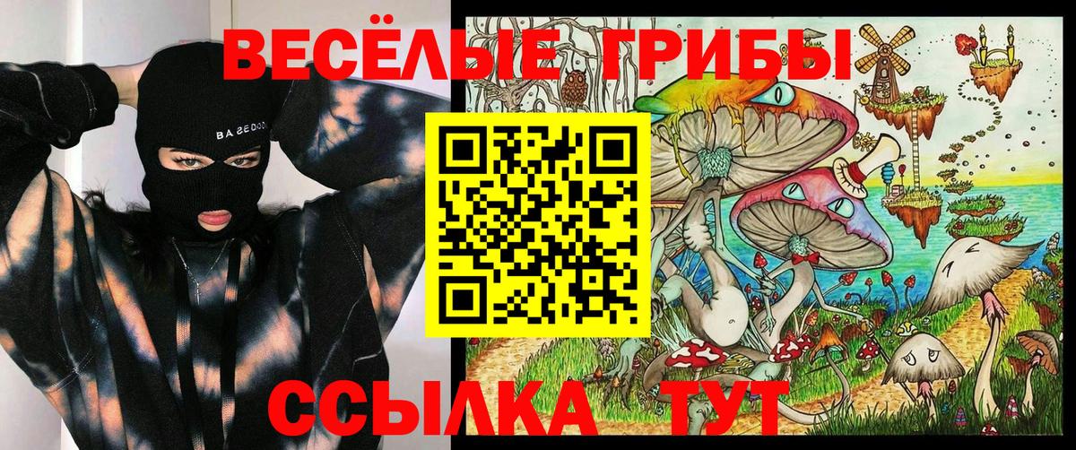 Партизанск  Псилоцибиновые грибы Cubensis  Галлюциногенные грибы Psilocybine cubensis  наркотики  Вход с VPN 
